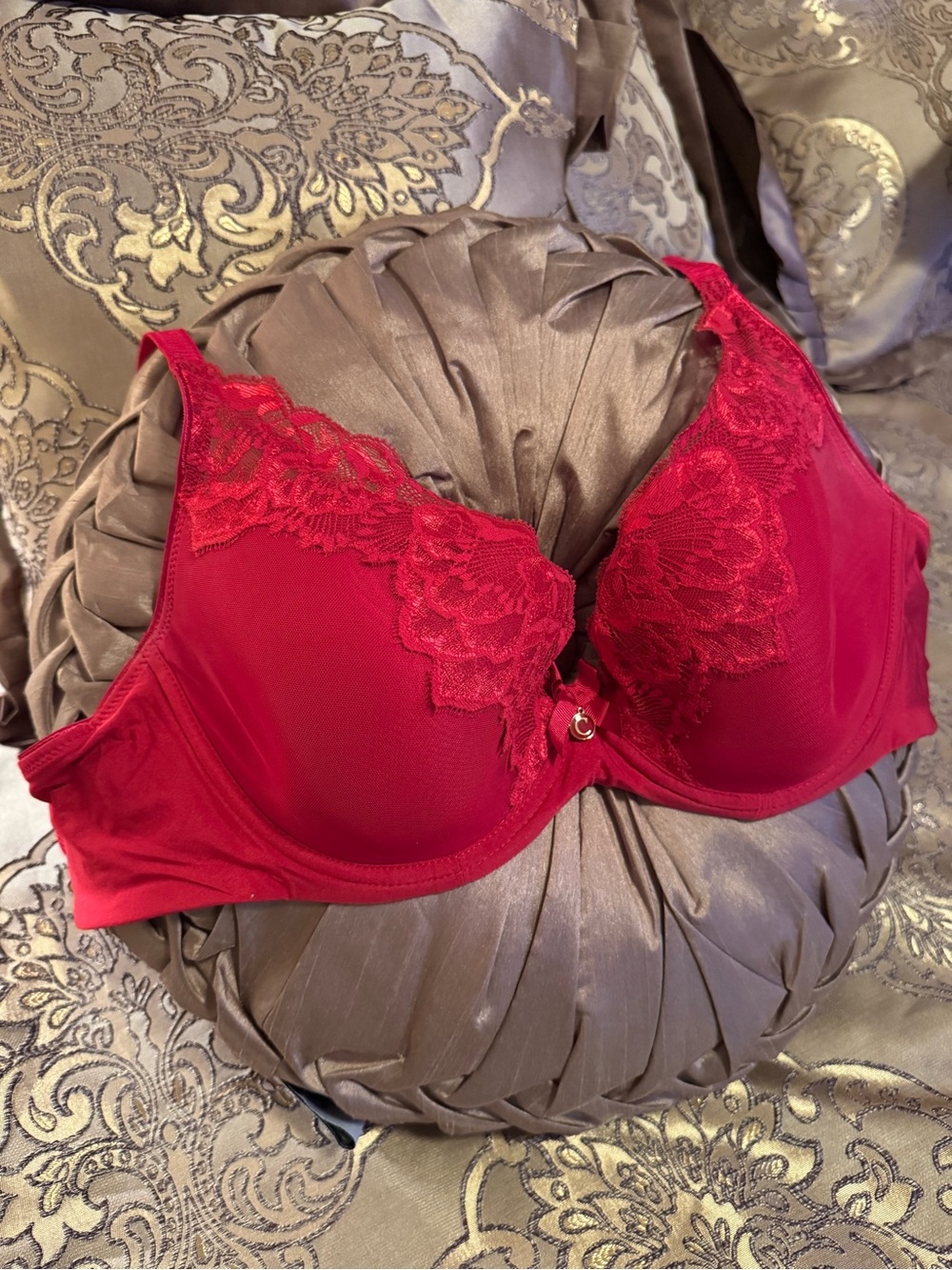 Chantelle Red Lace Underwire Full Coverage Bra with Center Accent